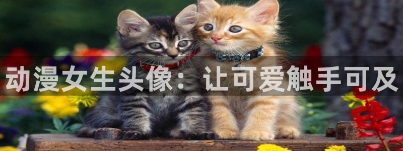 moefun动漫：动漫女生头像：让可爱触手可及