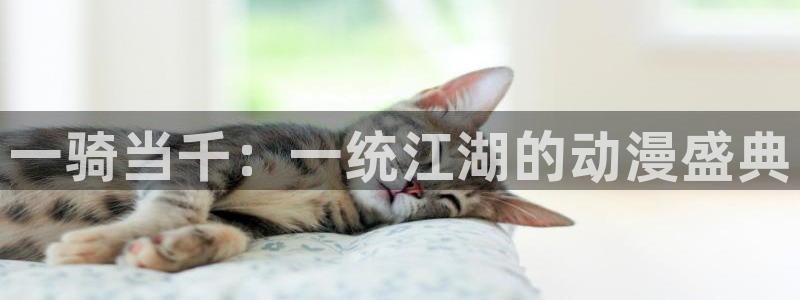 一彦动漫：一骑当千：一统江湖的动漫盛典