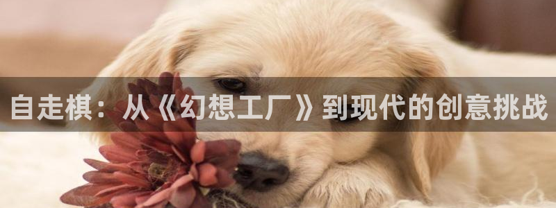 omofun动漫官方app下载：自走棋：从《幻想工厂》到现代的创意挑战